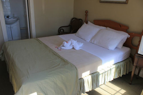 E-Lodge Near The Falls Niagara Falls Ngoại thất bức ảnh