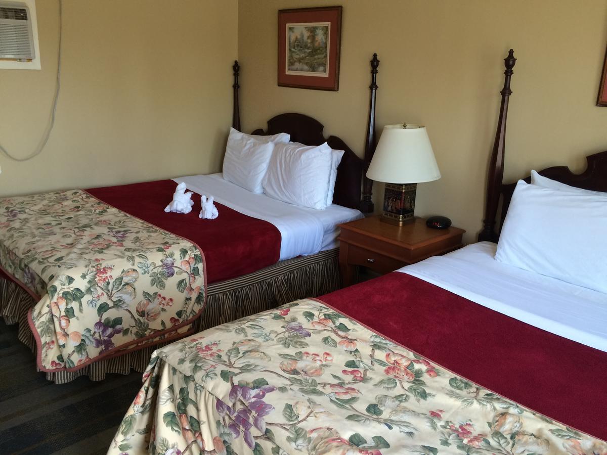 E-Lodge Near The Falls Niagara Falls Ngoại thất bức ảnh