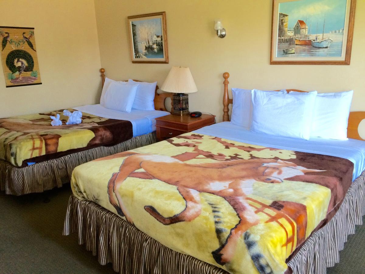 E-Lodge Near The Falls Niagara Falls Ngoại thất bức ảnh